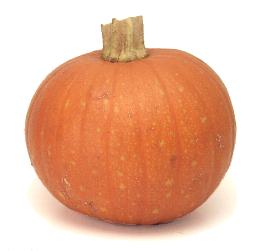 sugar pumpkin representation